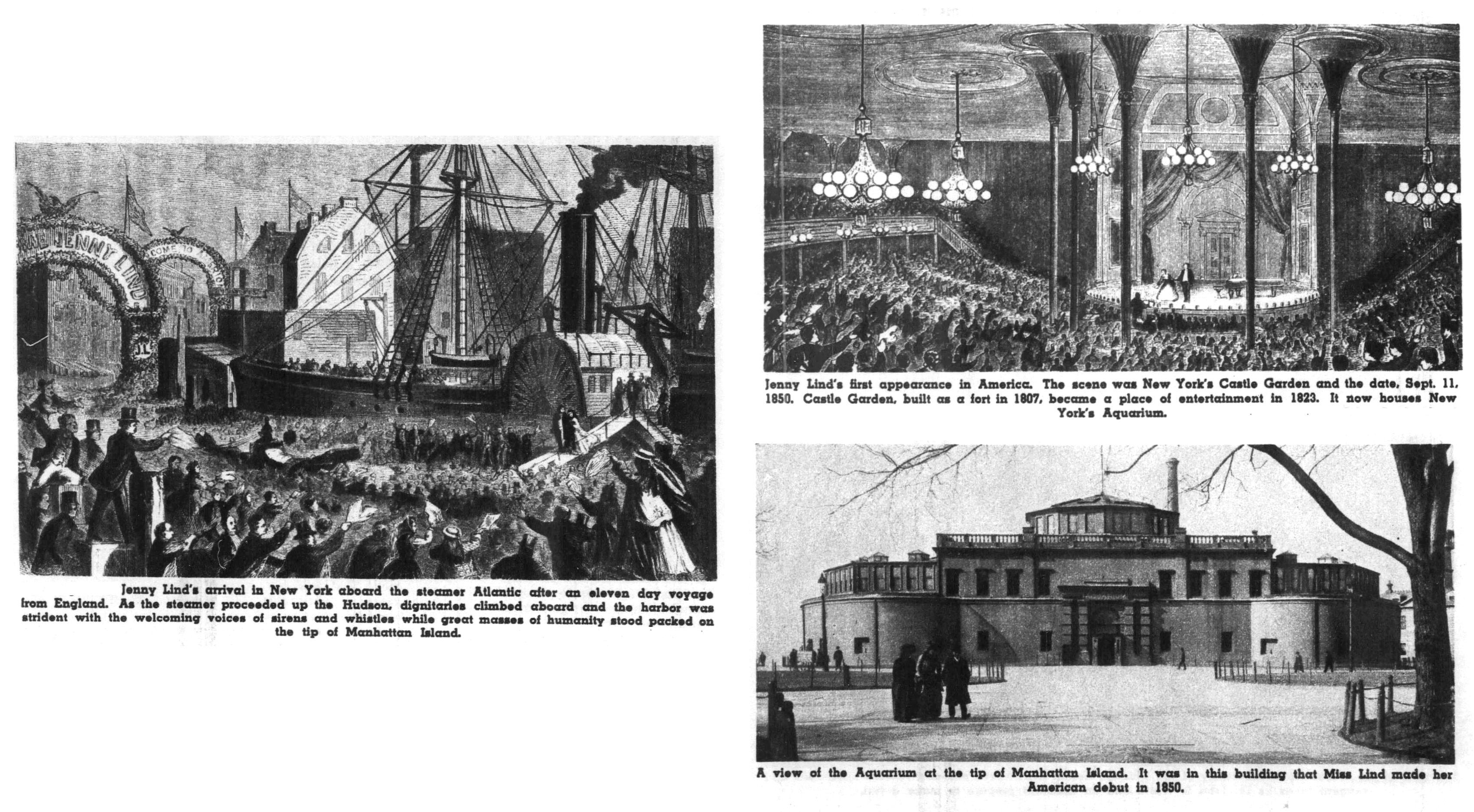 BARNUM by M.R. Werner
