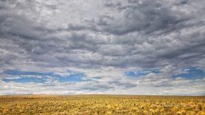  infiniti campi di grano