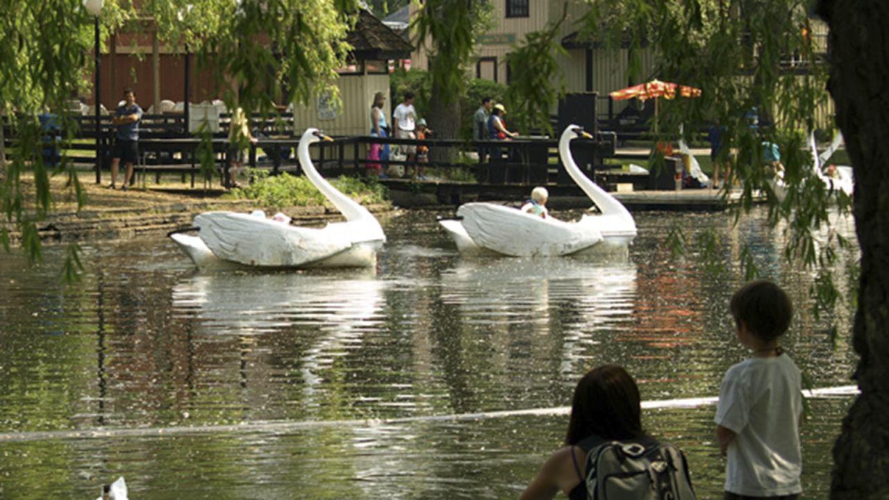 Toronto swan song.