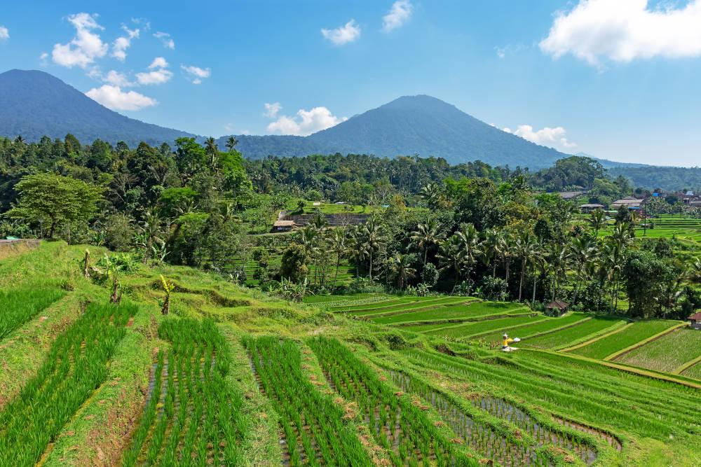 Tabanan